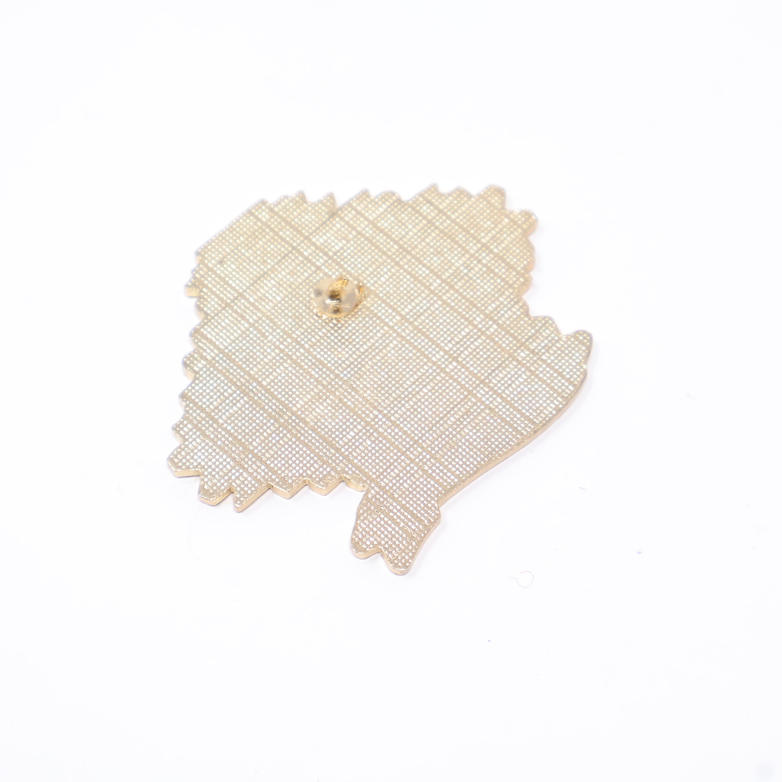 Native American Graphic Pin