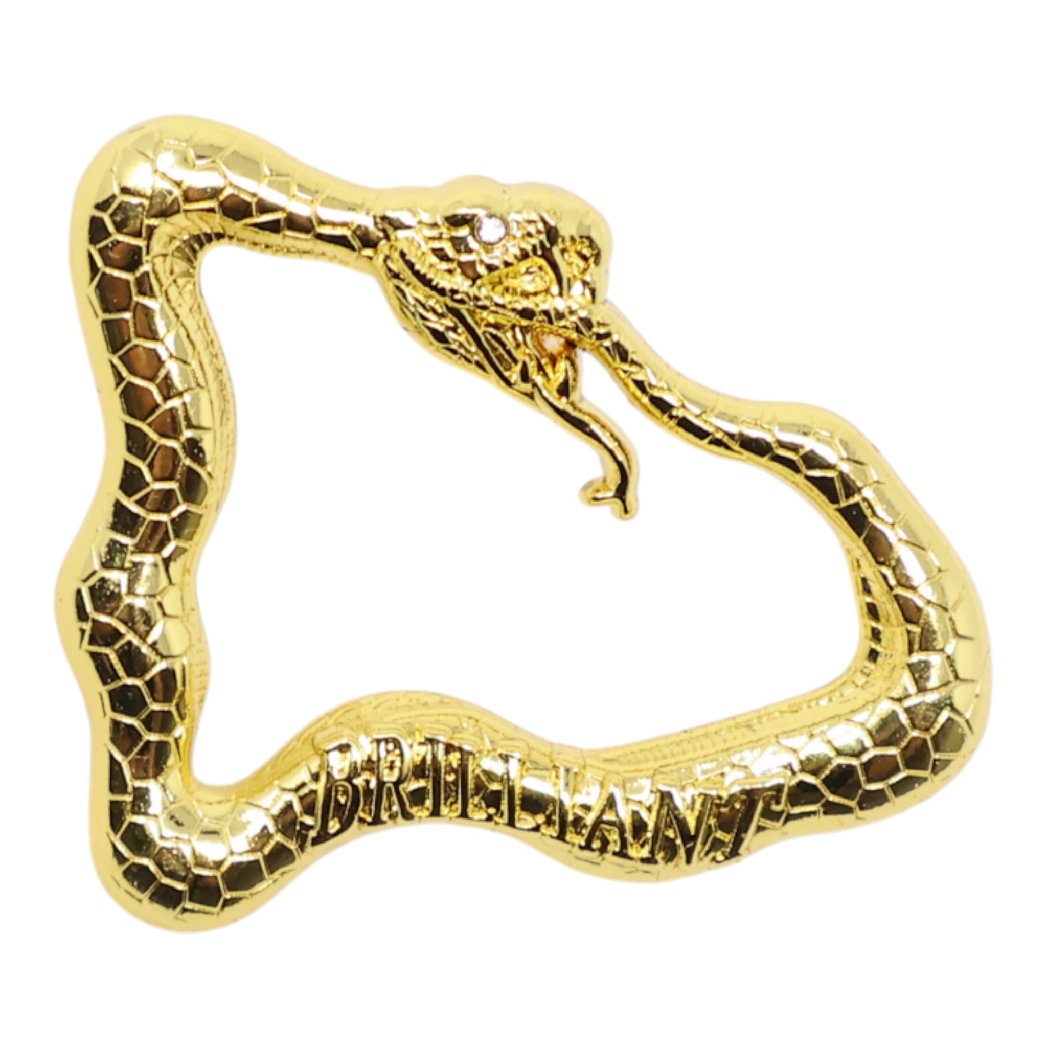 Brilliant Gold Snake New Era Flag Logo Pin