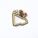 Variety Pokemon - New Era Flag Pins