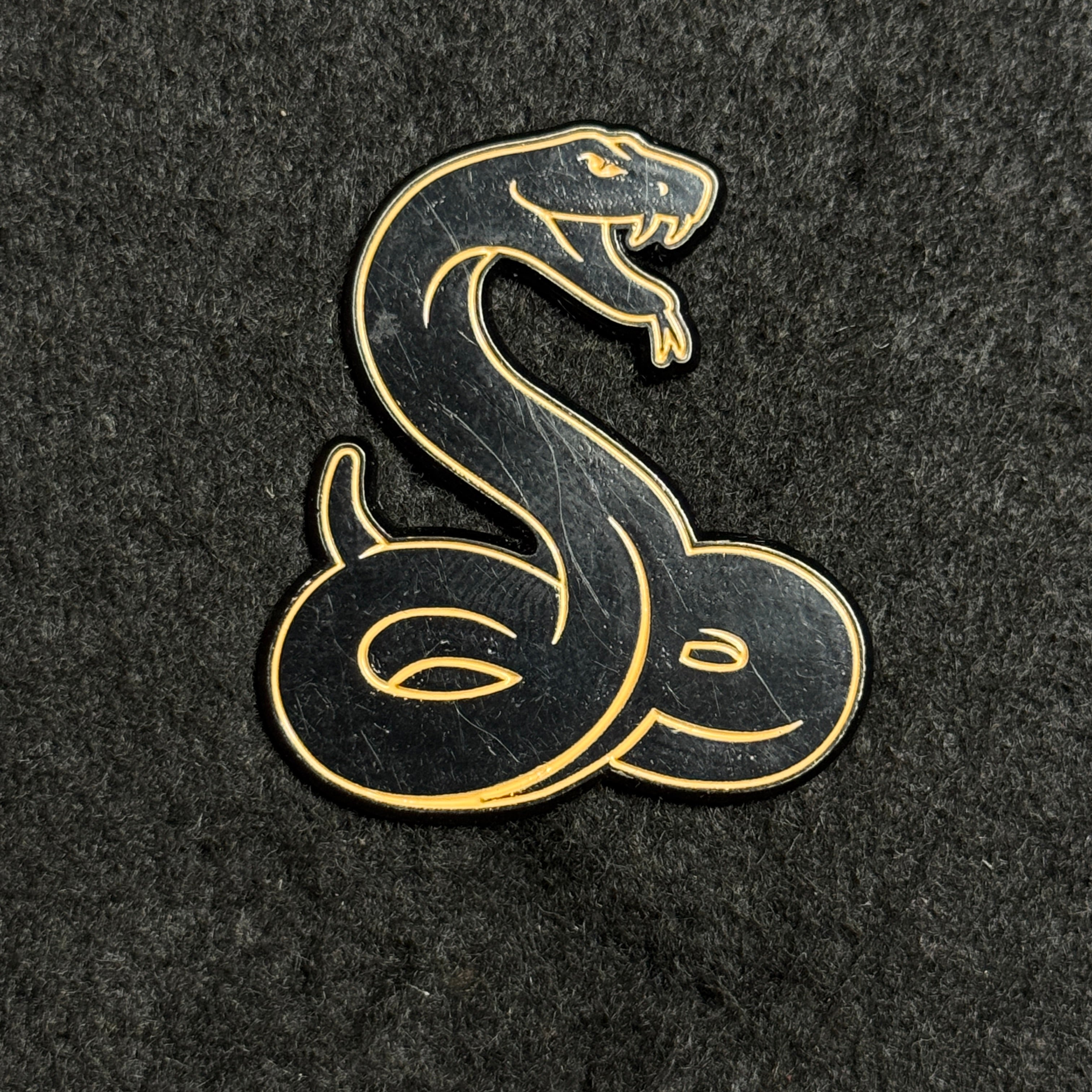 Black Snake Graphic Pin