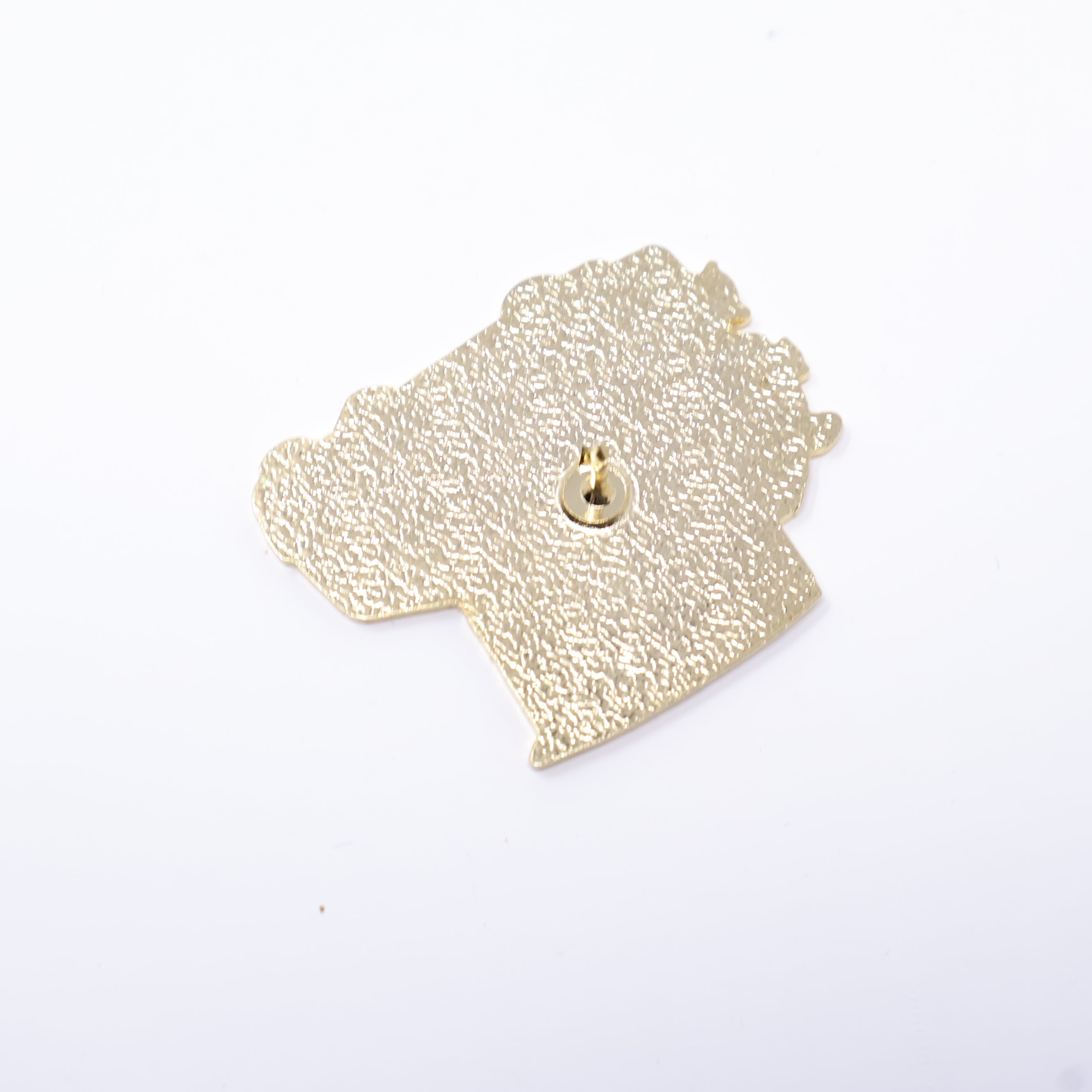 TXFitted SLAB car Gold Graphic Pin