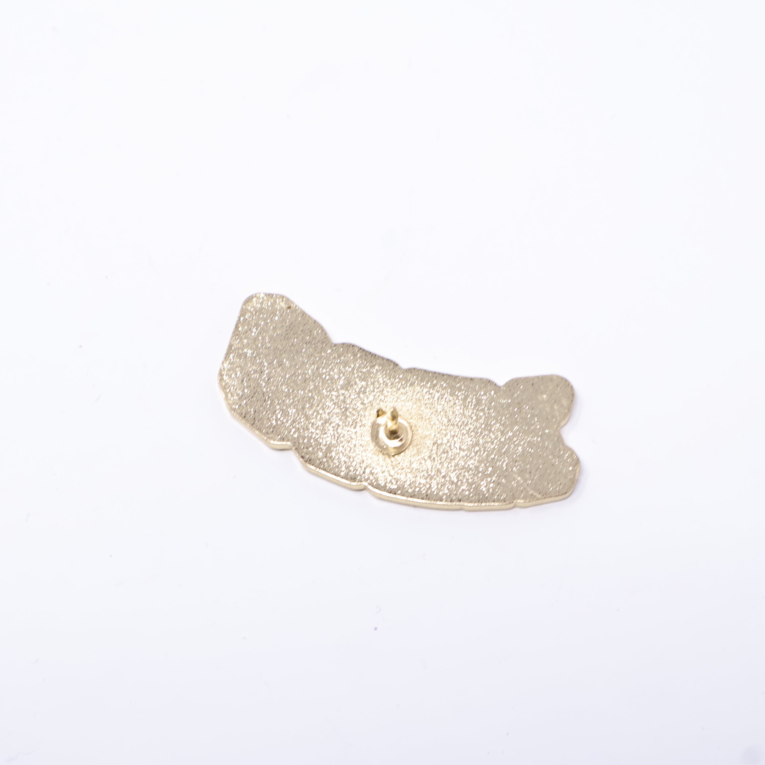 COZY Script Pin