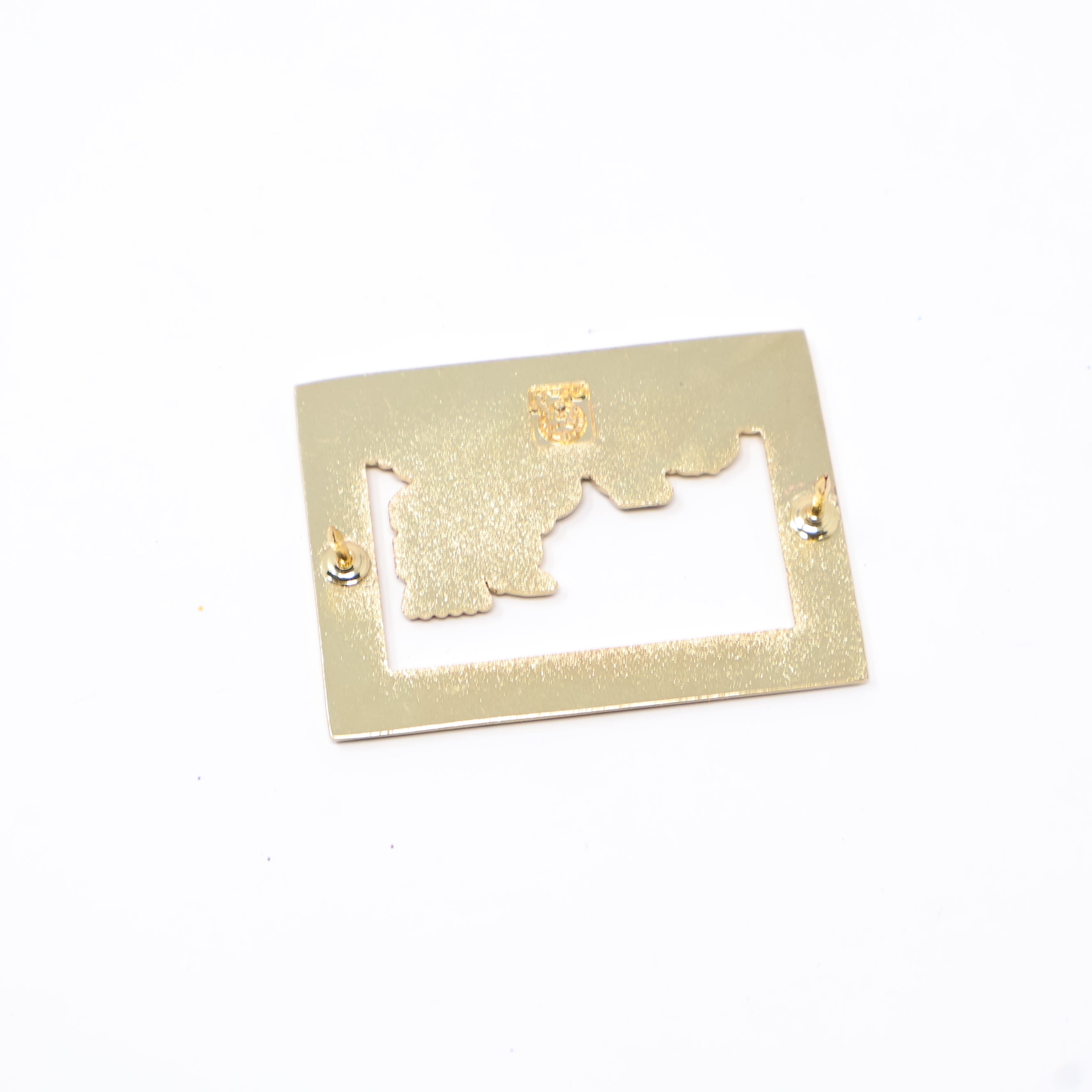 California Represent MLB Logo Pin