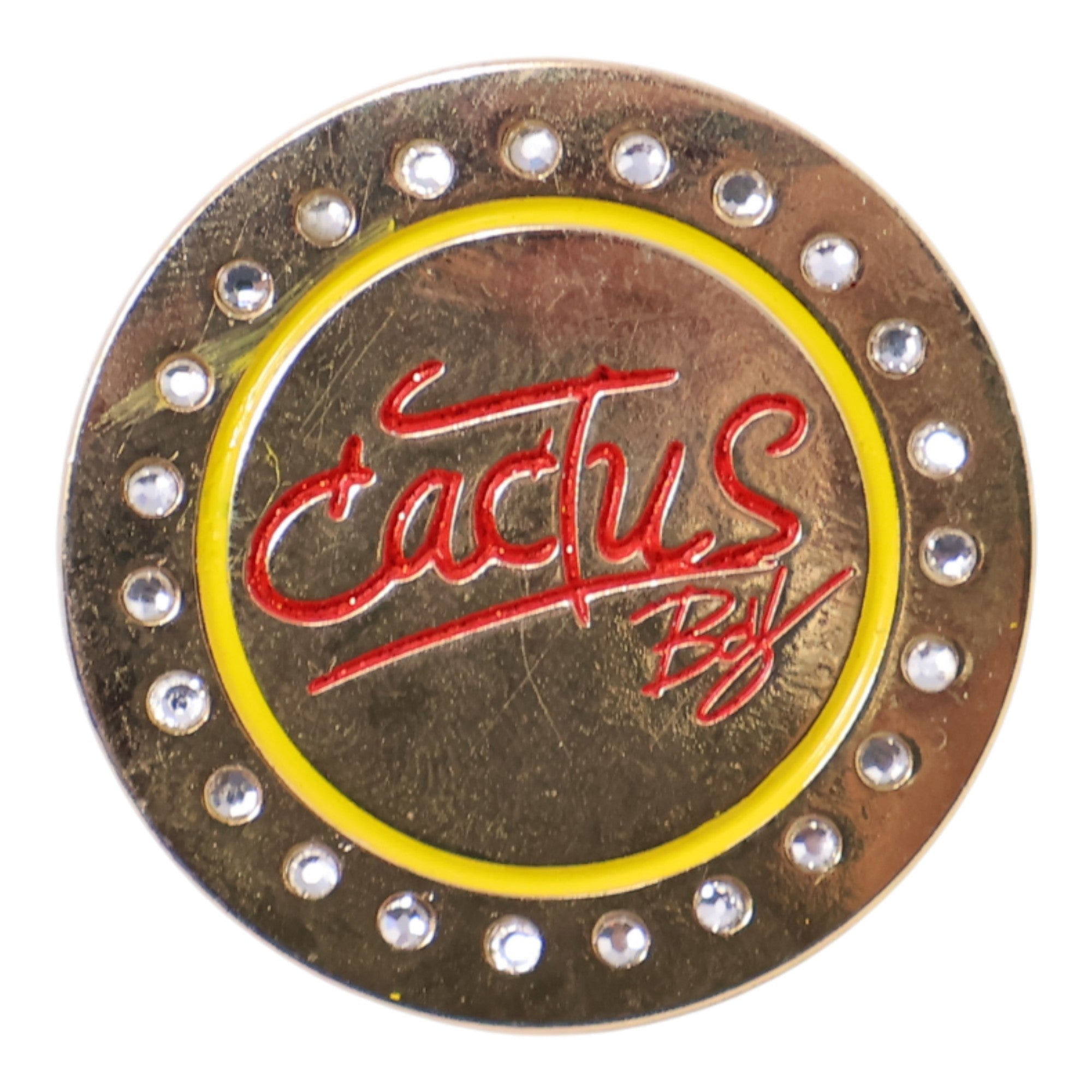 Cactus Boy Rhinestone Coin Pin